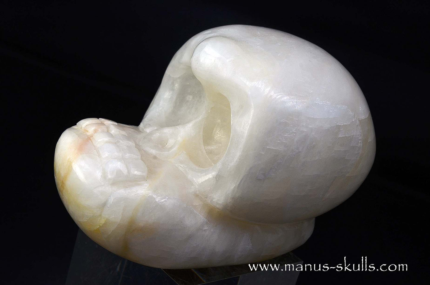 White Calcite Evolian Skull #06
