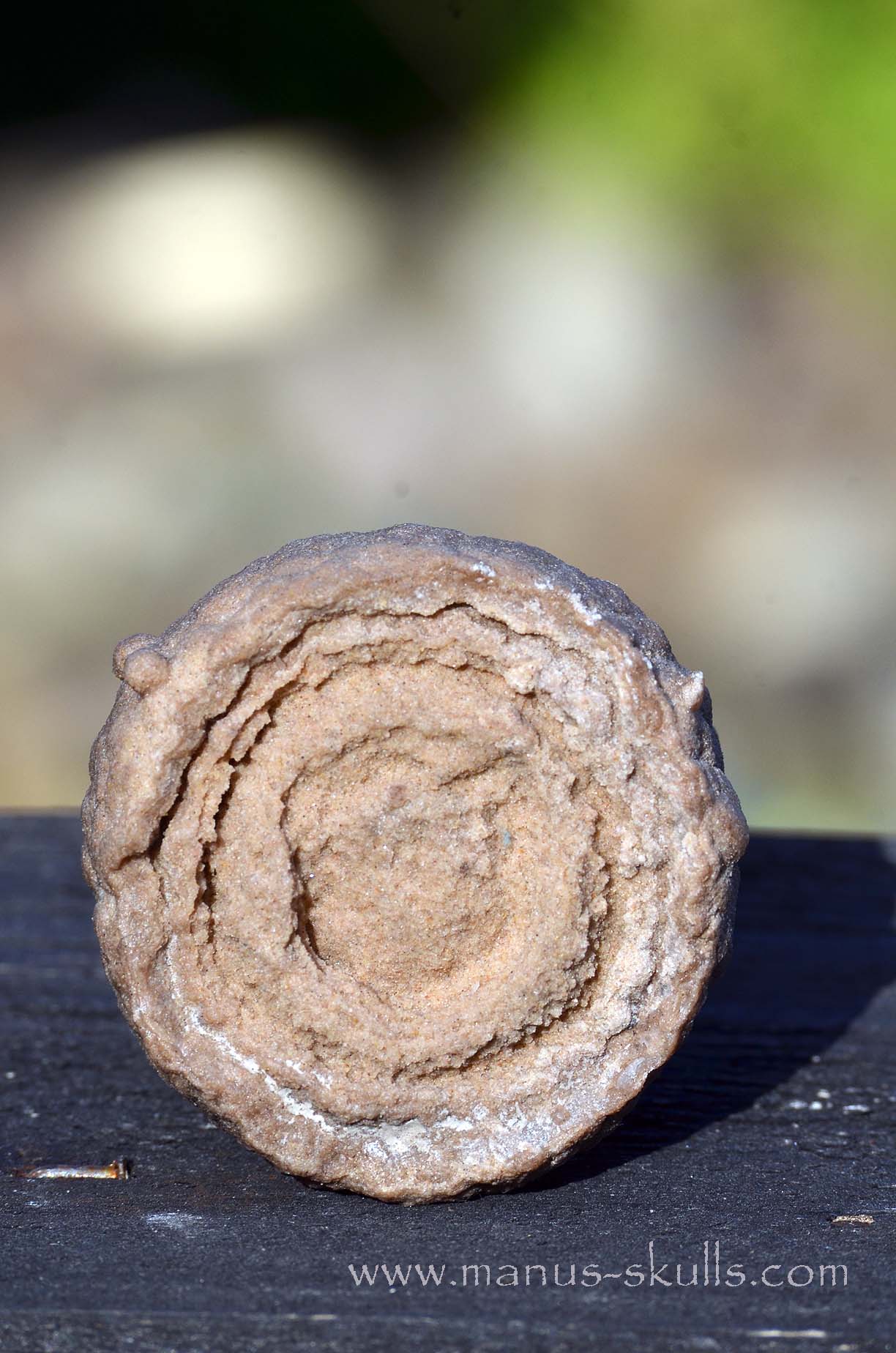 Oncolite EVOLIAN #09 (2025)