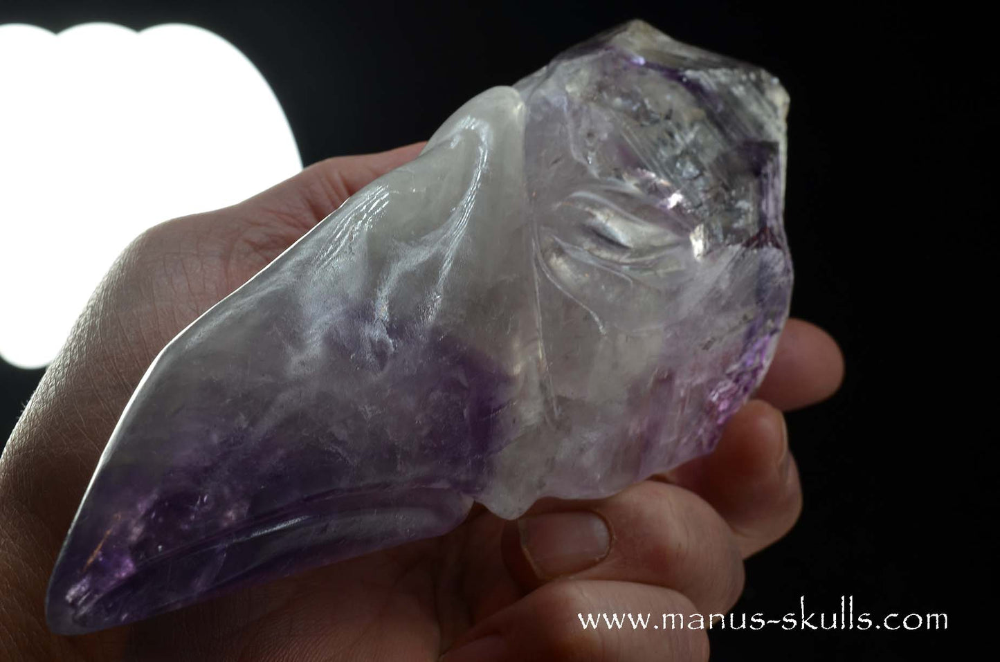Phantom Amethyst Dragon Bird Skull .....