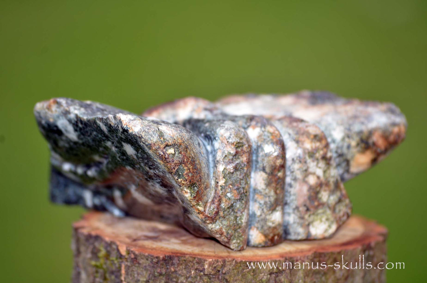 Preseli Bluestone Butterfly Dragon ....