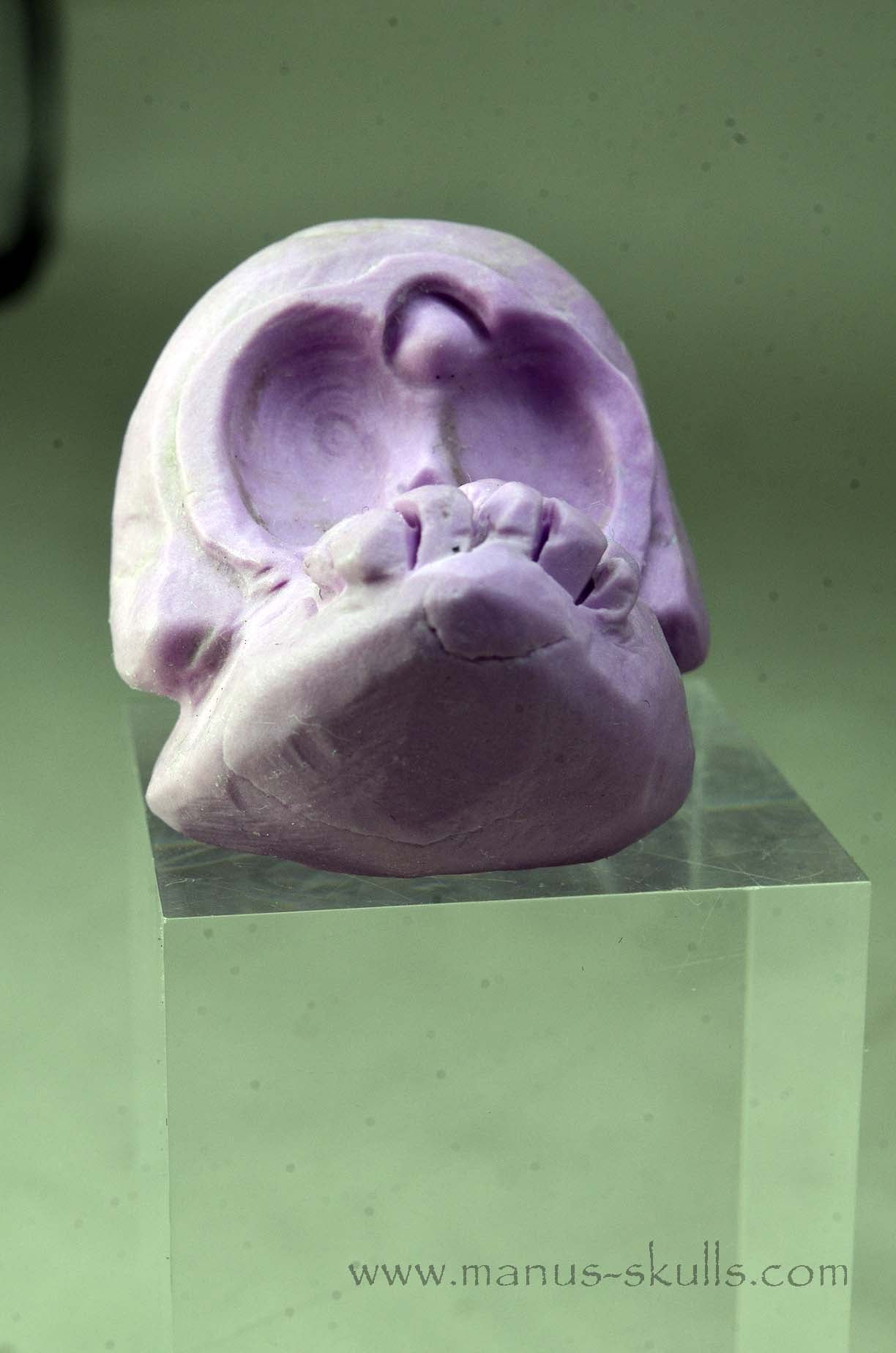 Phosphosiderite Evolian Skull #04