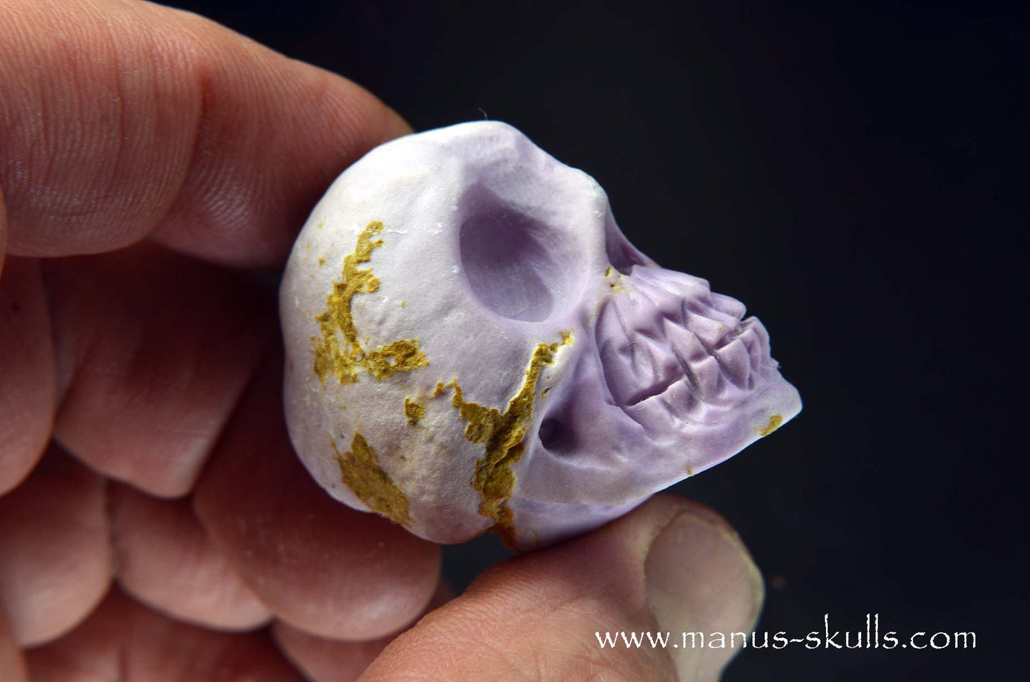 Phosphosiderite Skull