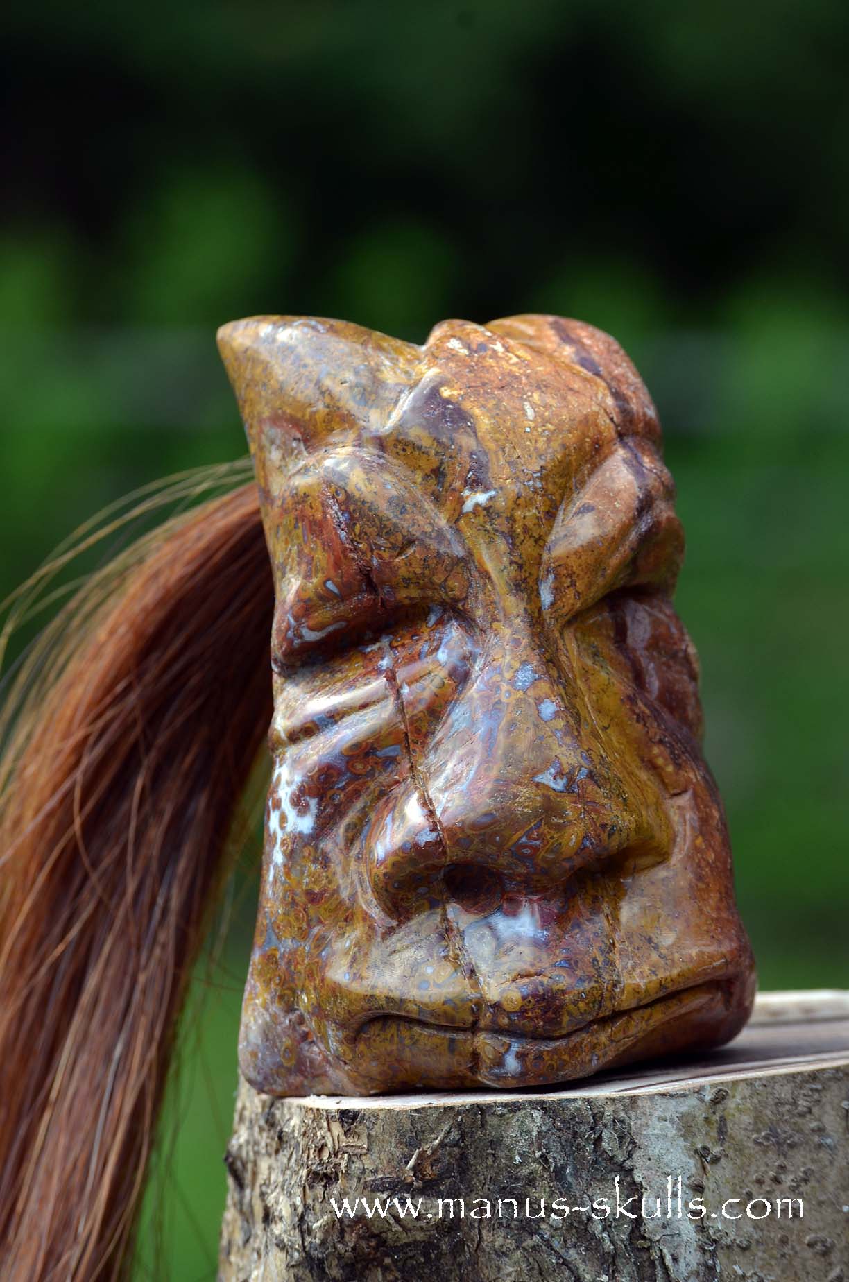 Petrified Palm Wood Tribal Skull #65