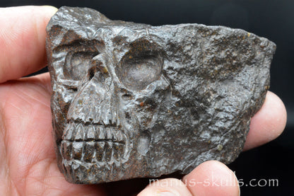 Meteorite Skull