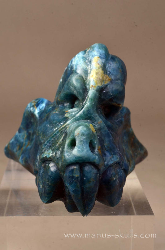 Apatite Manus Dragon