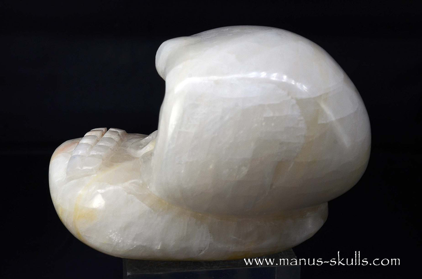 White Calcite Evolian Skull #06