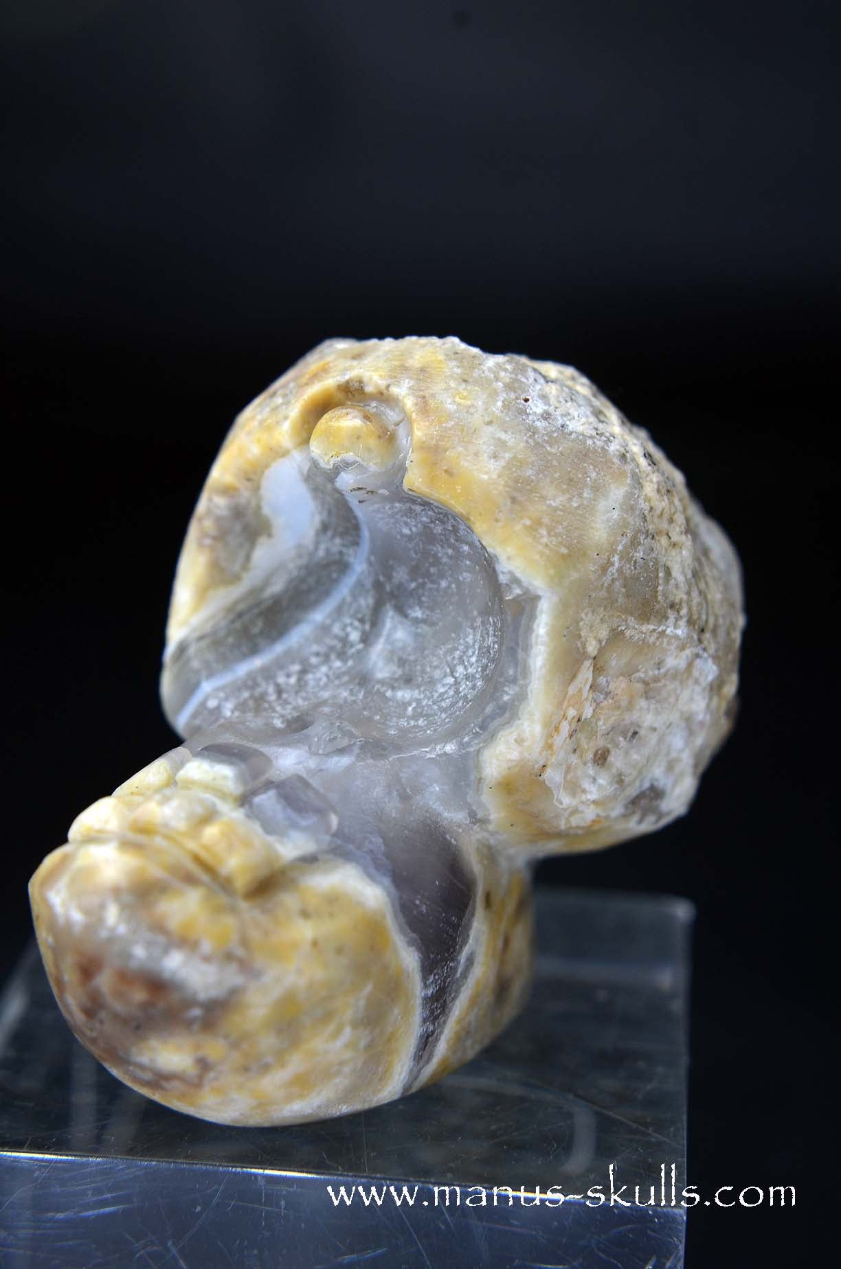 Manus skulls unique Crystal Carvings handmade skulls dragons pendants preseli bluestone tribals spiritual meaning wand Unicorn .. TNT bed   Lithophyse   Thunderegg