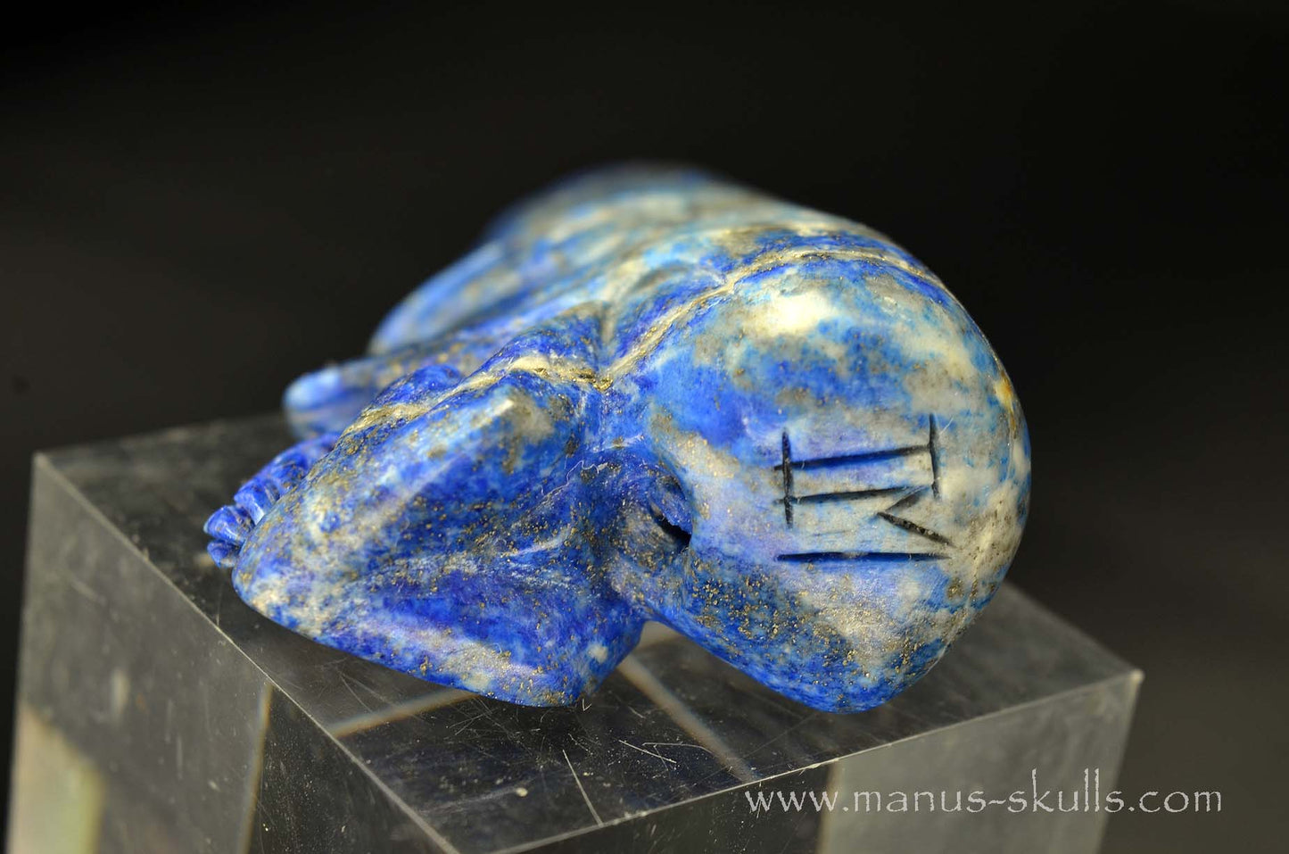 Lapiz Lazuli Conehead Skull