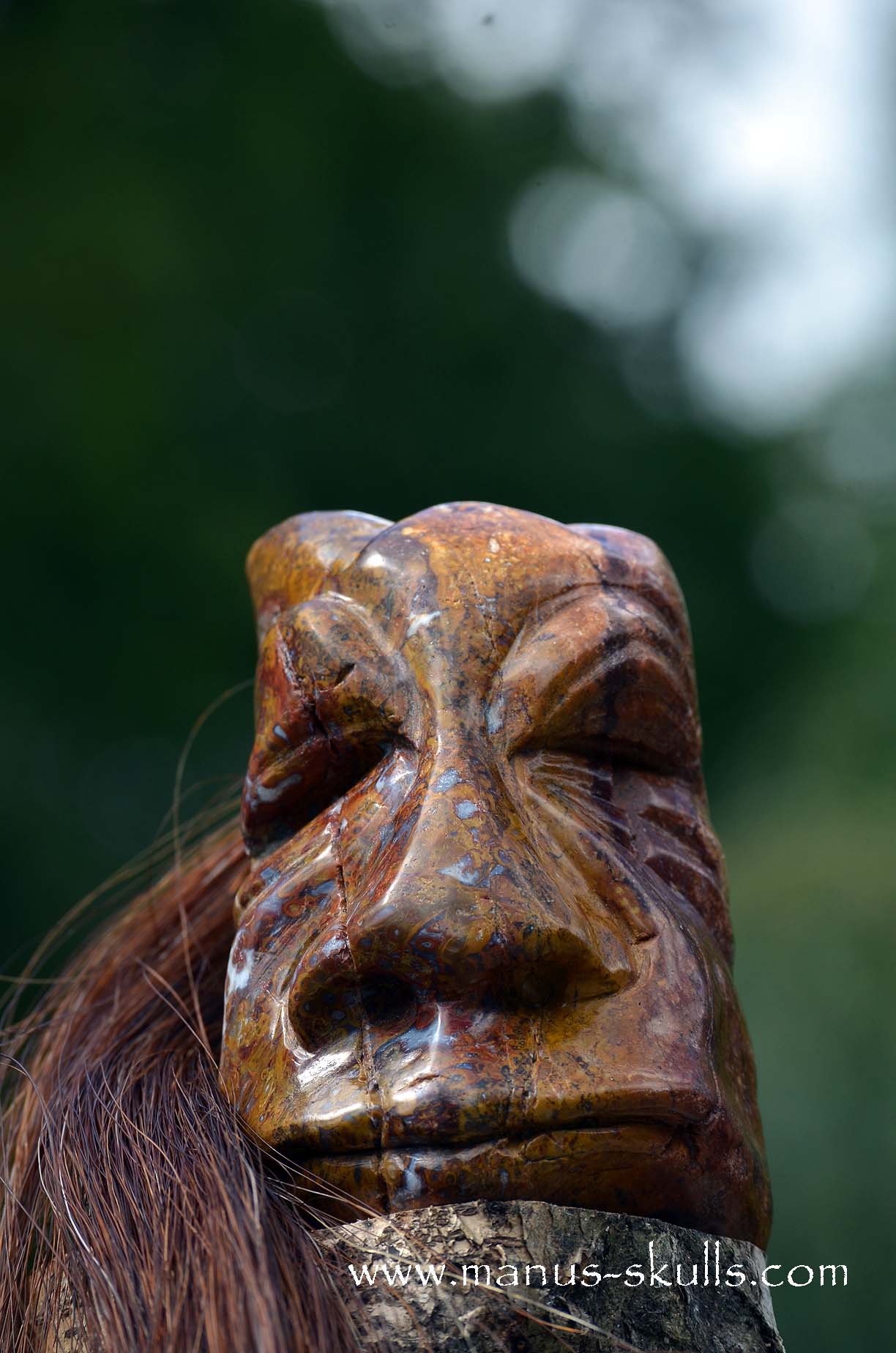 Petrified Palm Wood Tribal Skull #65