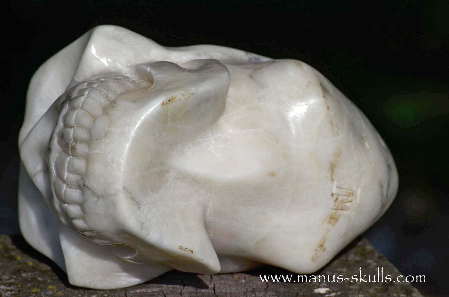 Large Alabaster Skull with Ankh Symbol