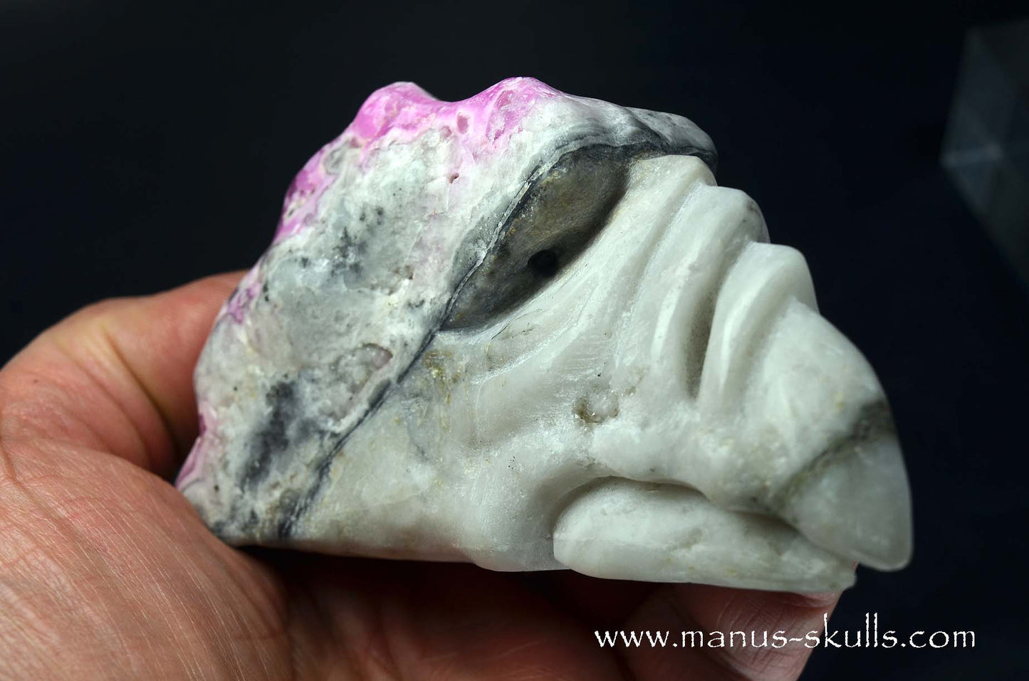 Cobalto Calcite Dragon Bird ....