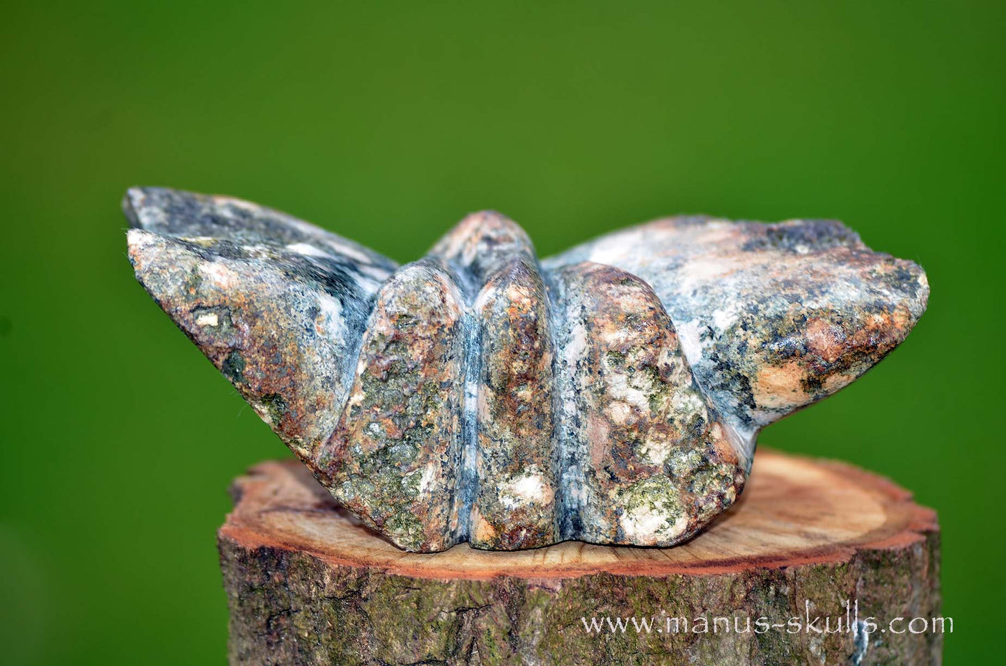 Preseli Bluestone Butterfly Dragon ....