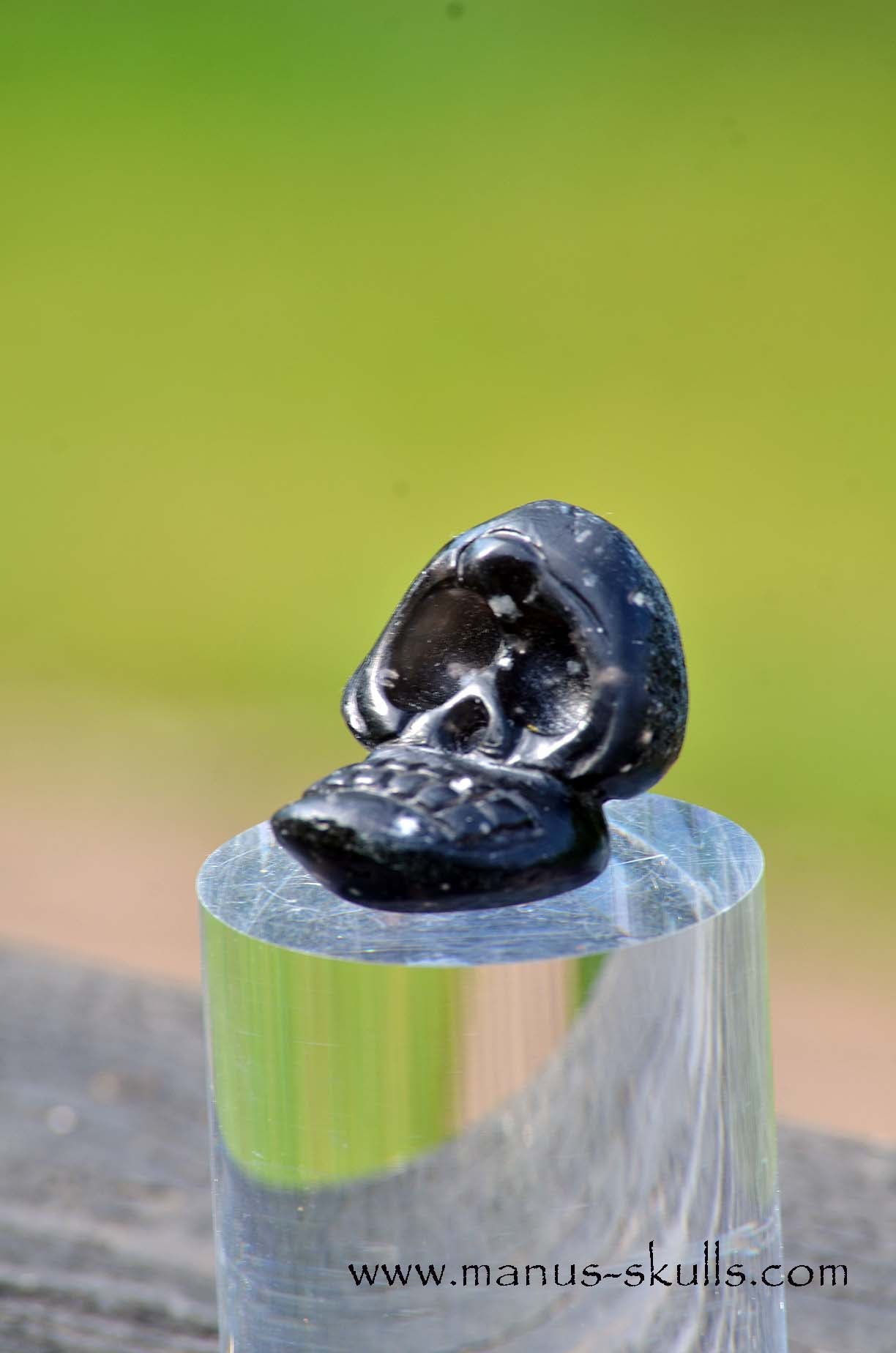 Agni Manitite Evolian Manus Skull