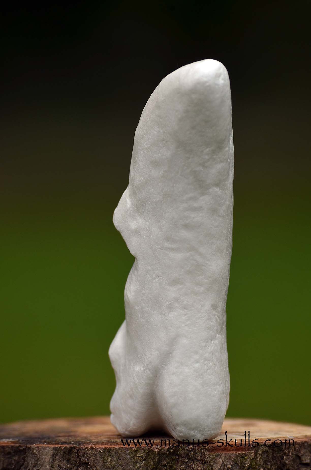 Hairless White Steatite Triskelion Tribal Skull #058