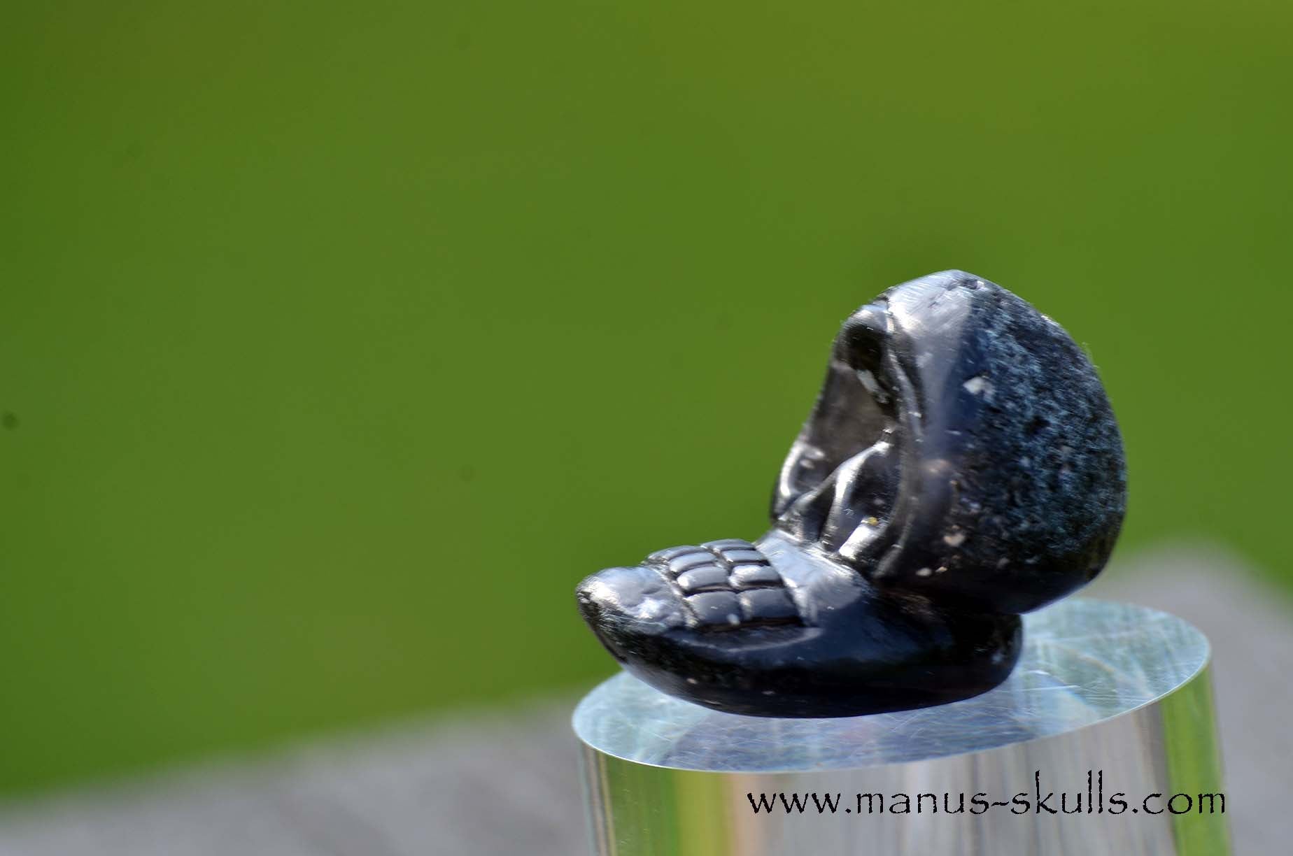 Agni Manitite Evolian Manus Skull