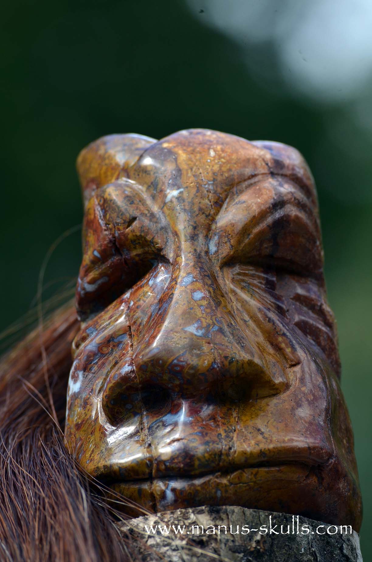 Petrified Palm Wood Tribal Skull #65