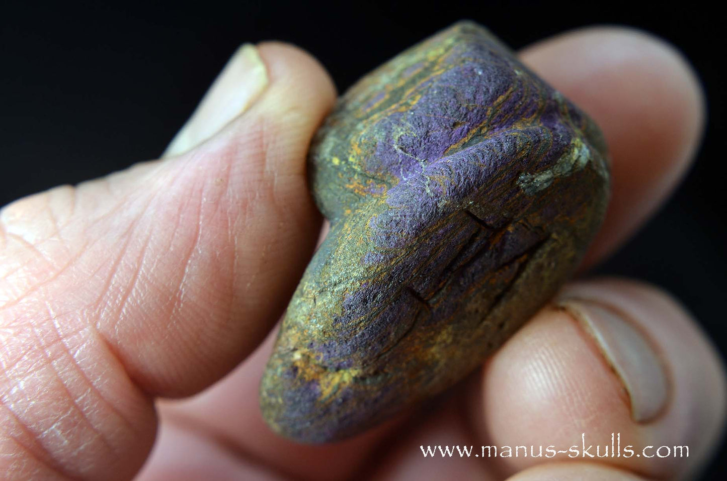 Purpurite Evolian #01