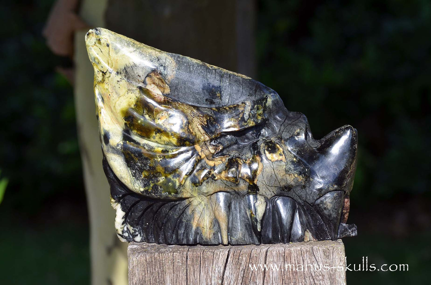 XL Black Green Connemara Marble Dragon