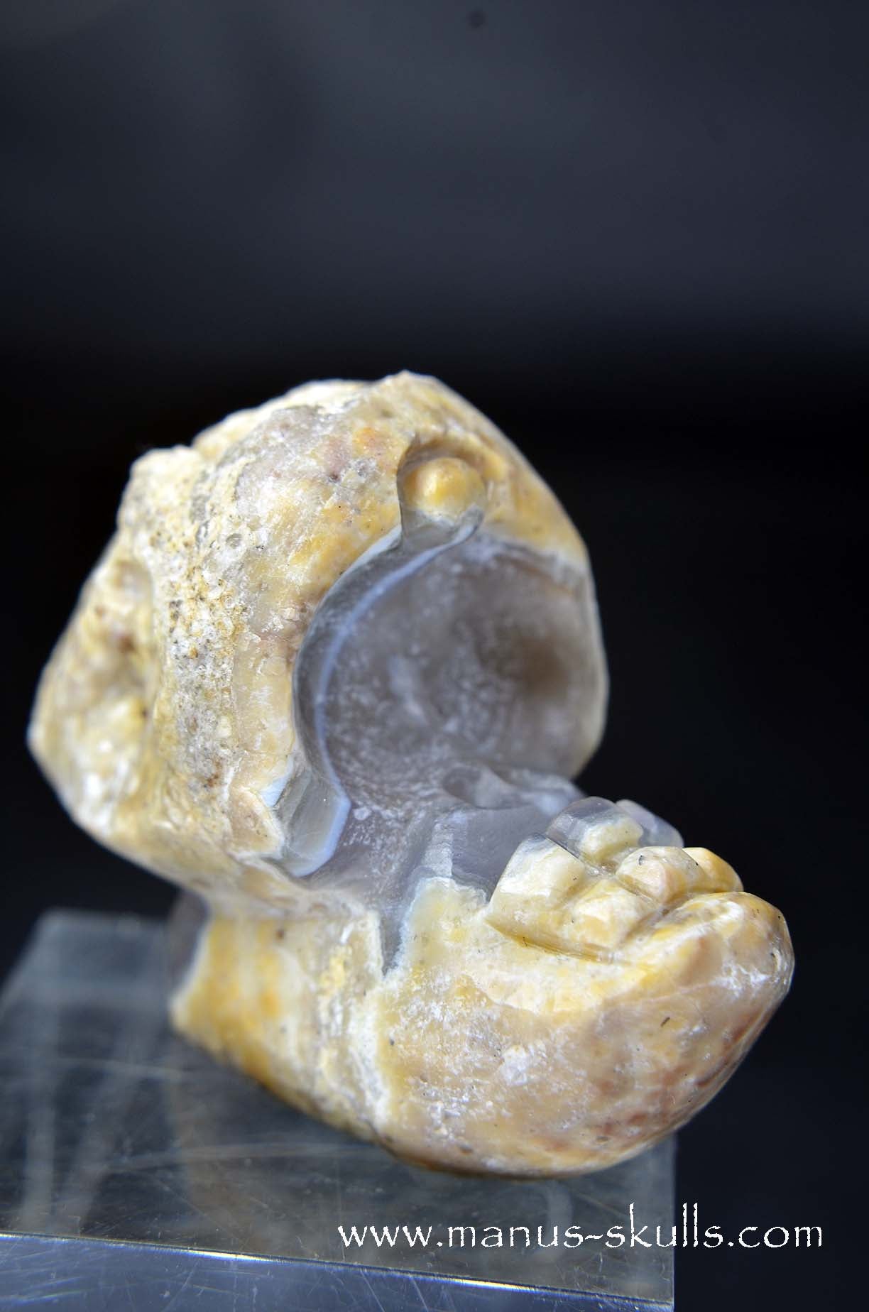 Manus skulls unique Crystal Carvings handmade skulls dragons pendants preseli bluestone tribals spiritual meaning wand Unicorn .. TNT bed   Lithophyse   Thunderegg