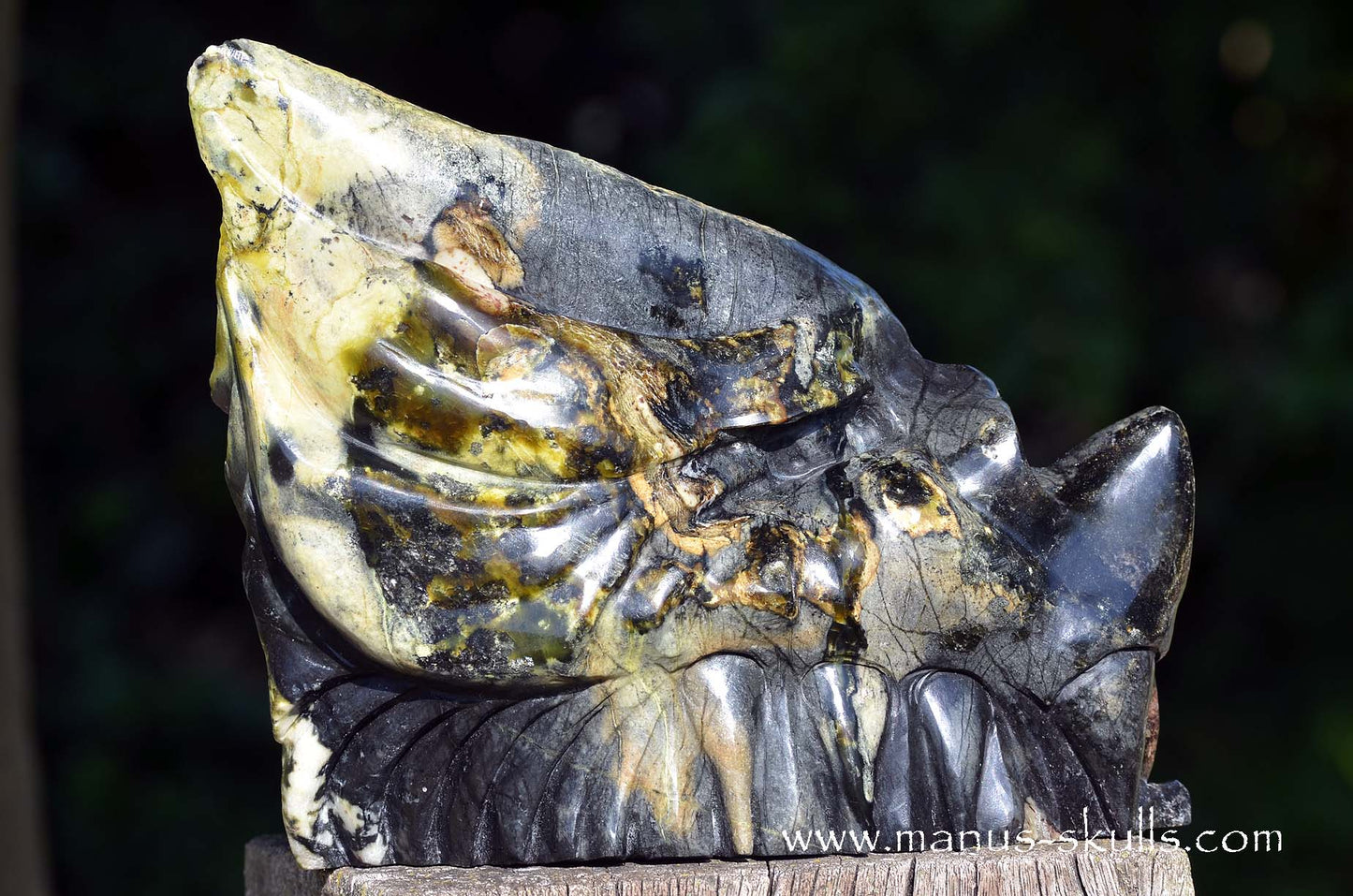 XL Black Green Connemara Marble Dragon