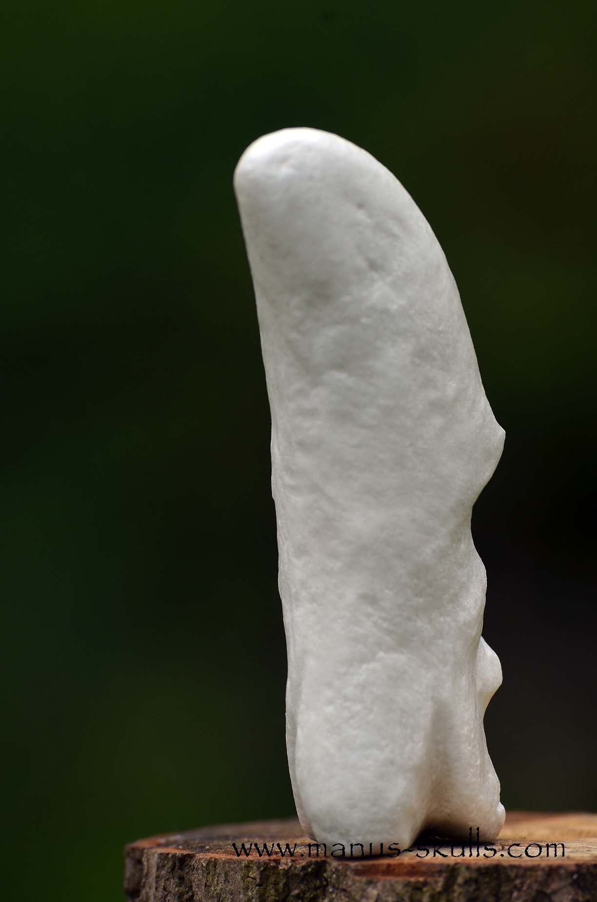 Hairless White Steatite Triskelion Tribal Skull #058