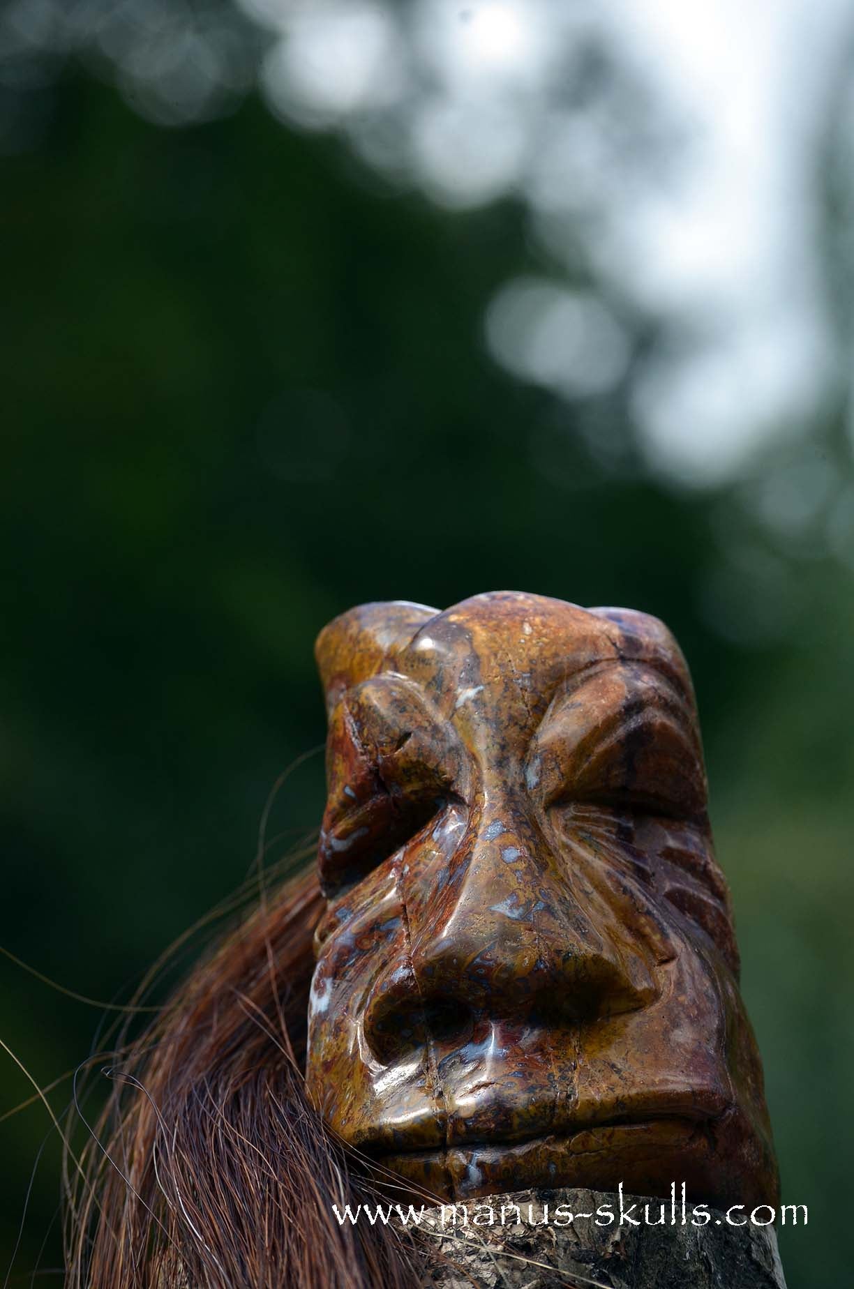 Petrified Palm Wood Tribal Skull #65