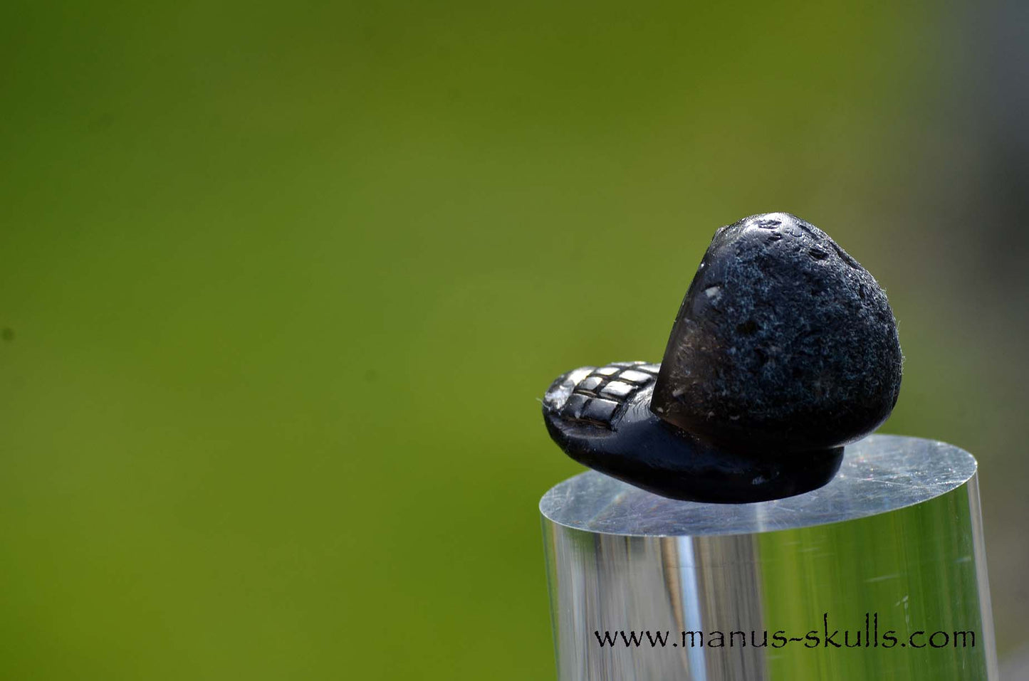 Agni Manitite Evolian #04