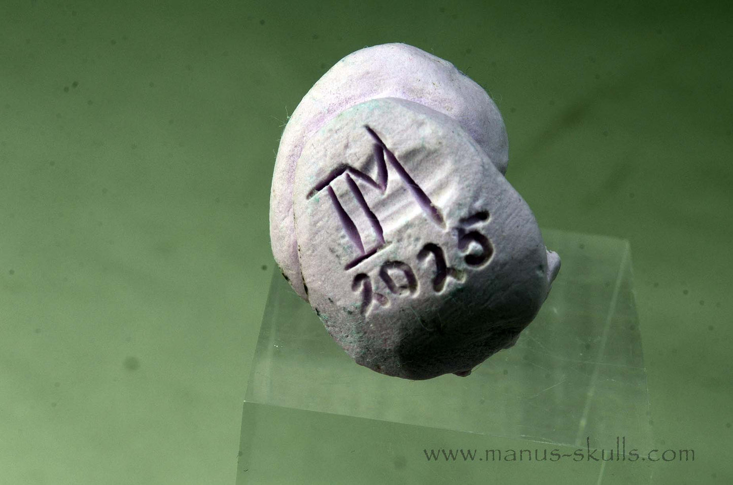 Phosphosiderite Evolian Skull #03