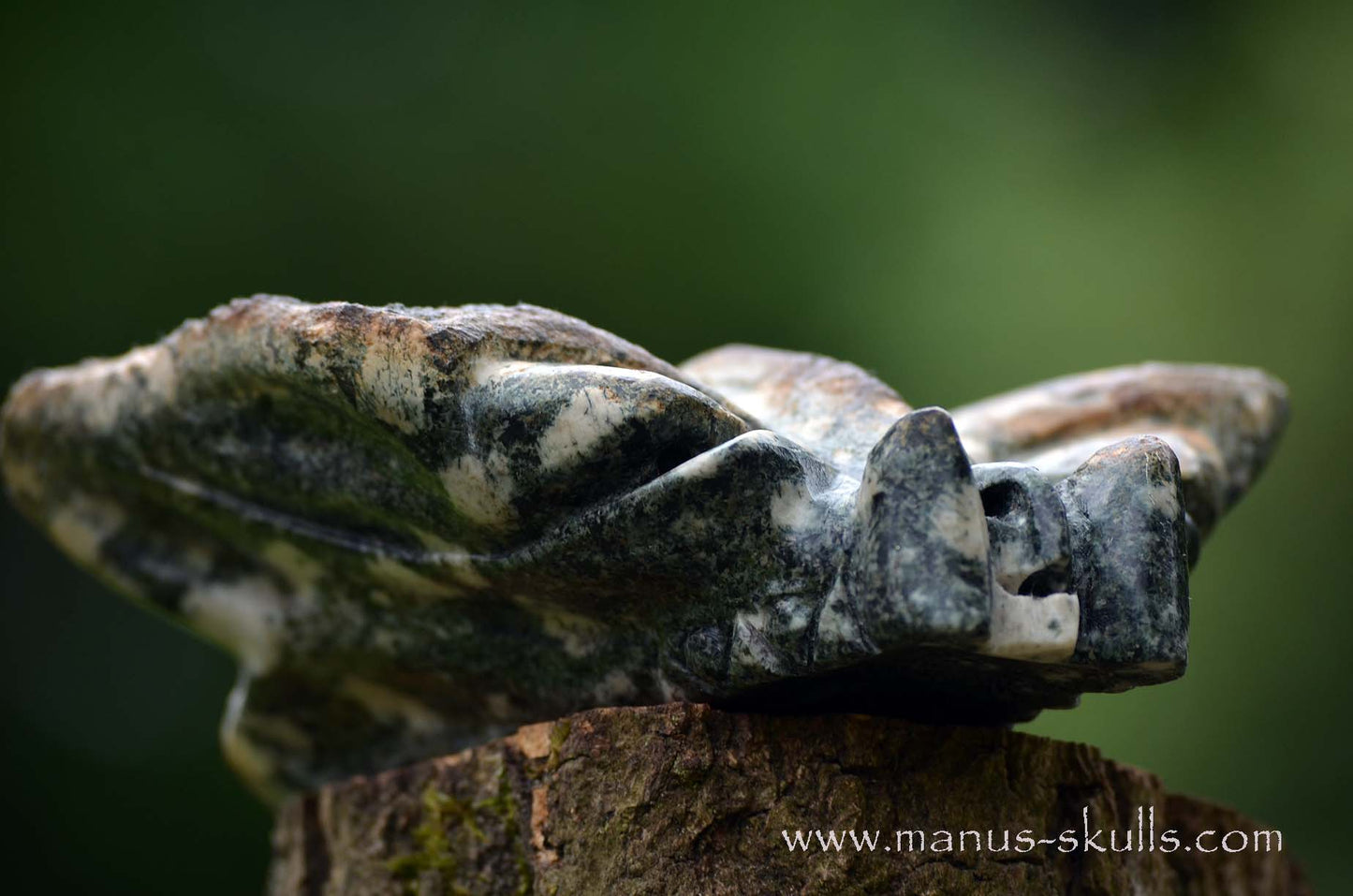 Preseli Bluestone Butterfly Dragon ....