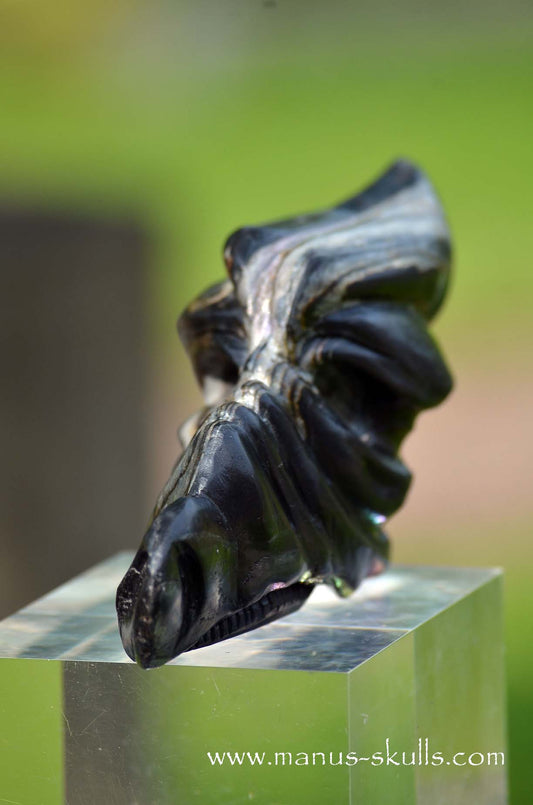 Manus skulls unique Crystal Carvings handmade skulls dragons pendants preseli bluestone tribals spiritual meaning wand Unicorn .. isua