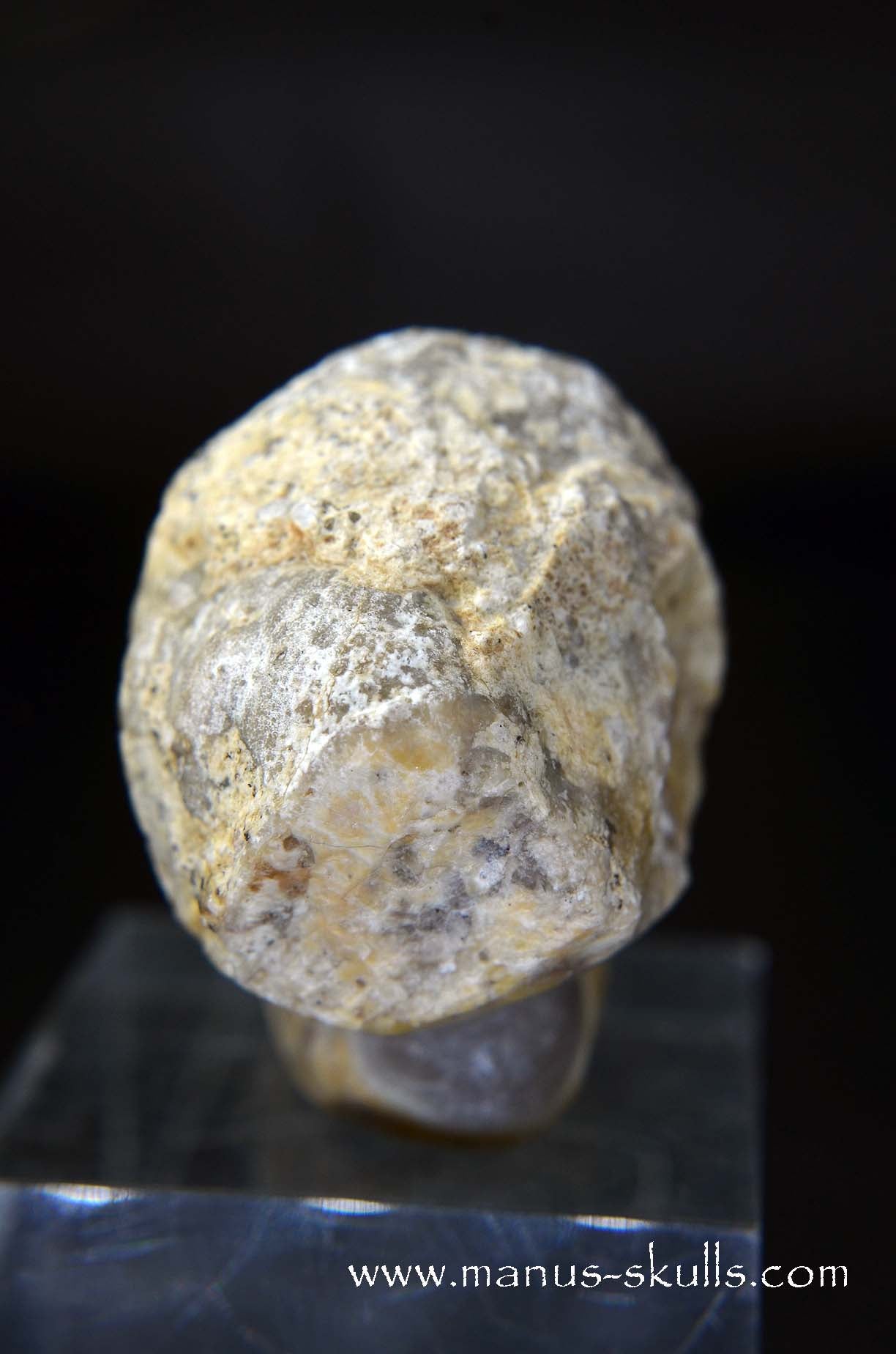 TNT-bed Thunderegg Evolian #04