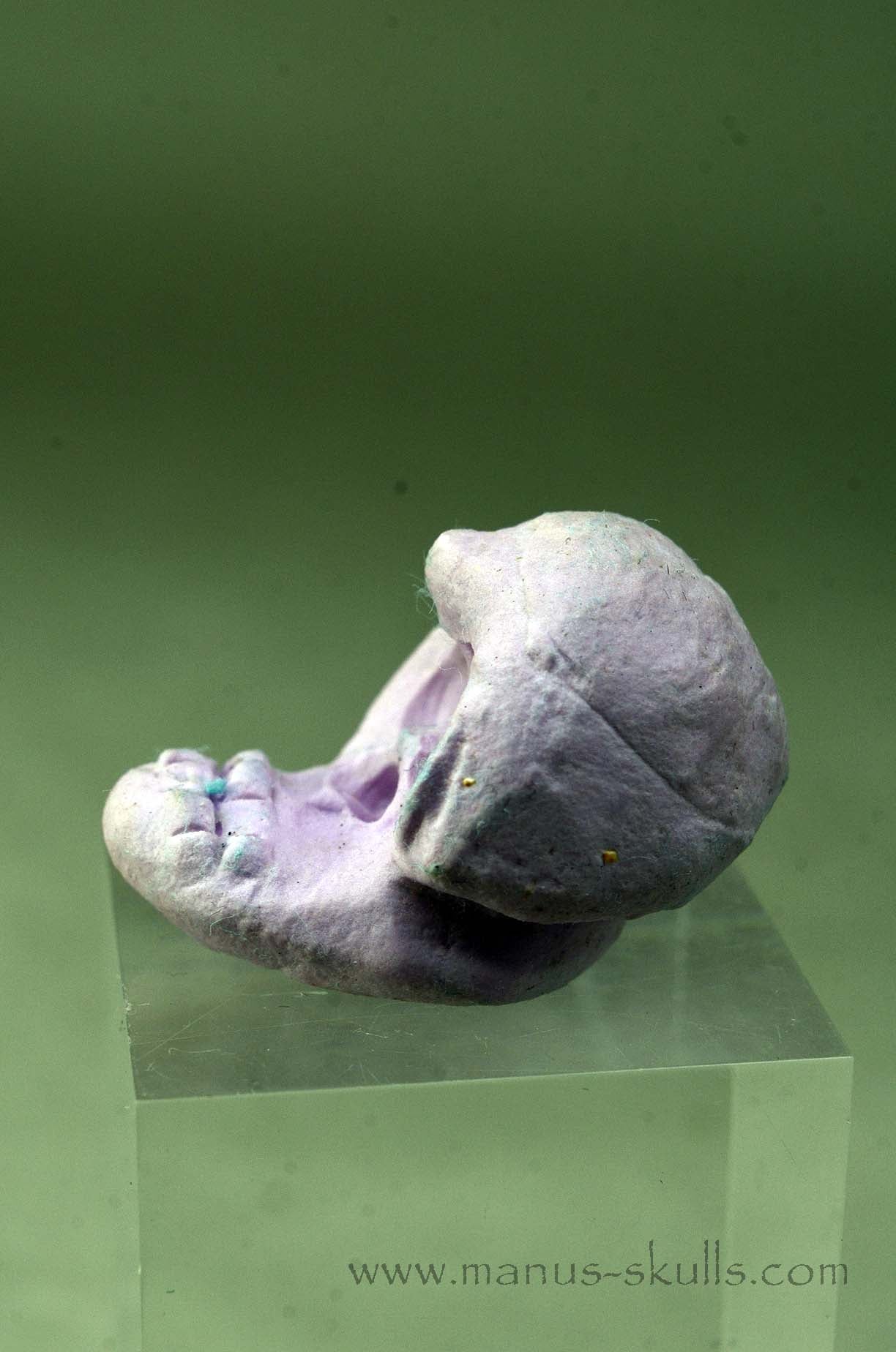 Phosphosiderite Evolian Skull #01