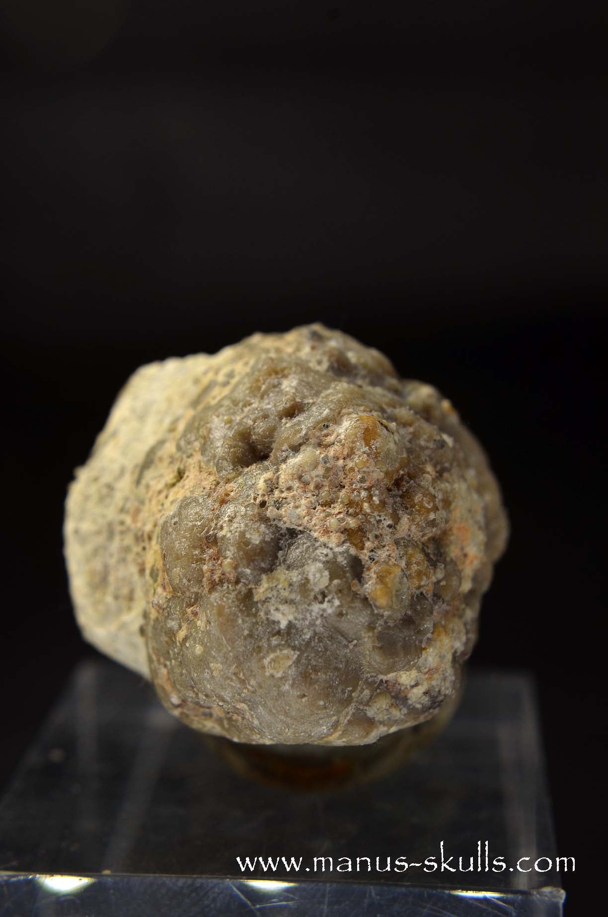 TNT-bed Thunderegg Evolian #01