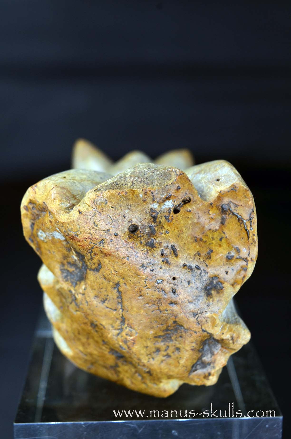 Sarsens Stone Dragon (Stonehenge Stone)