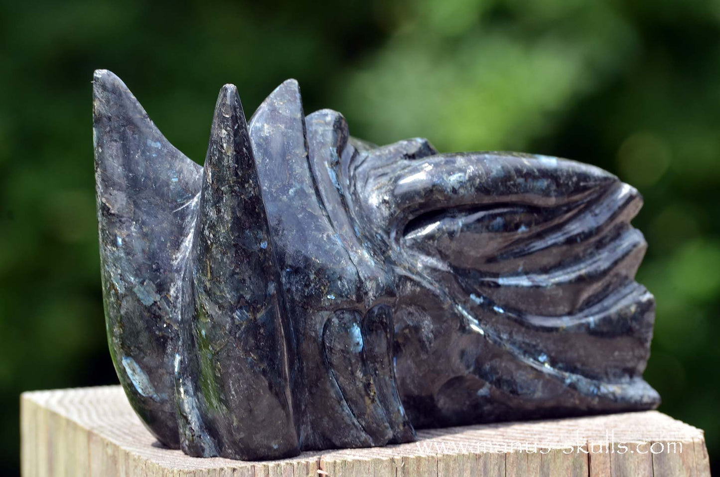 Large Larvikite Dragon