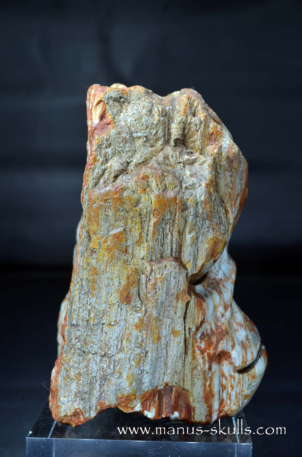 Eagle Eye Quartz Character Skull face