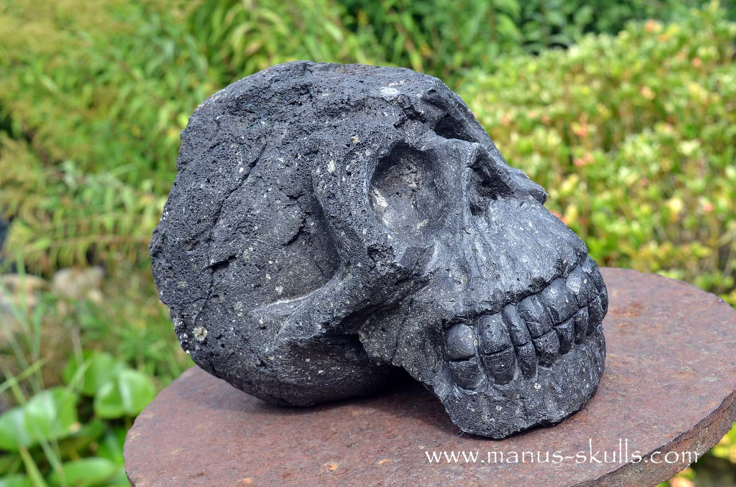 Large and Heavy Lava Skull