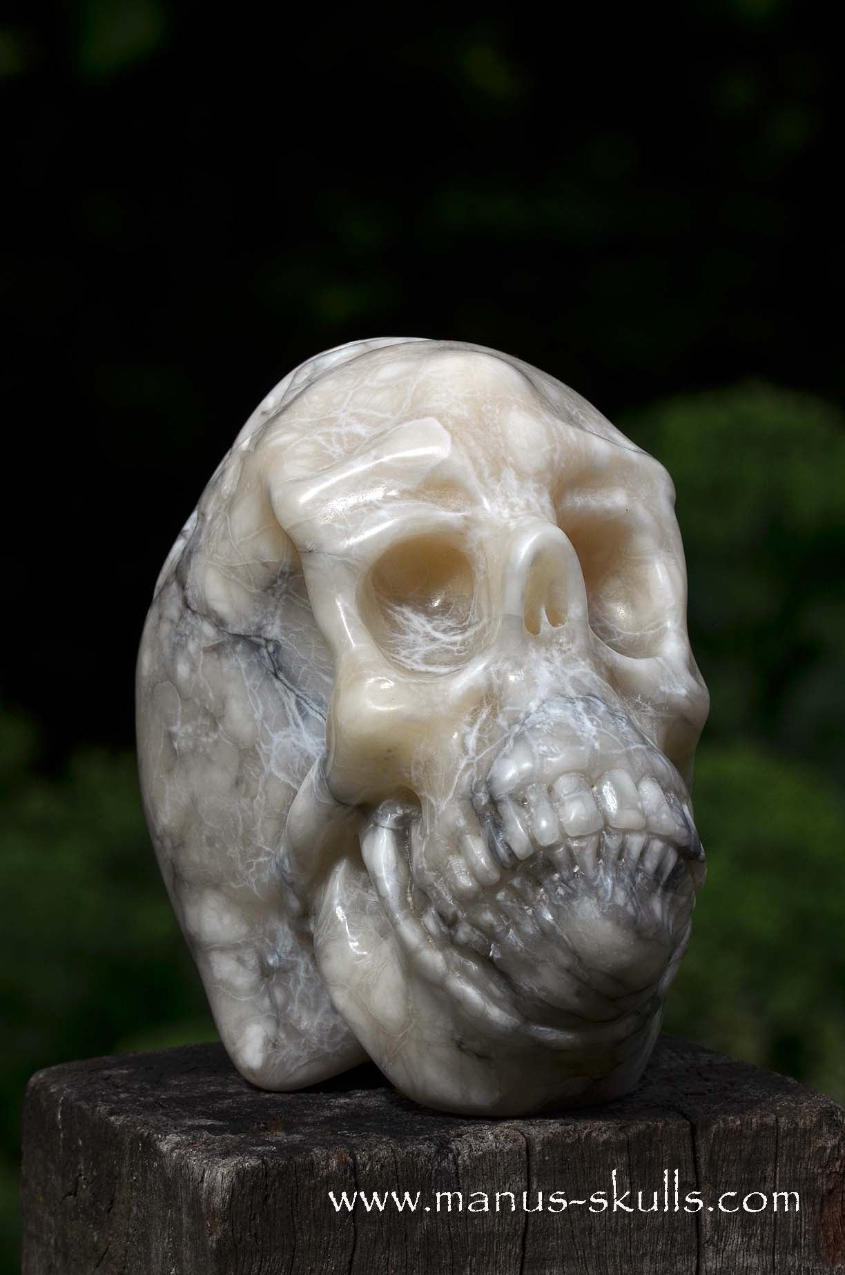 Alabaster Skull with carved Scarab Beetle ....