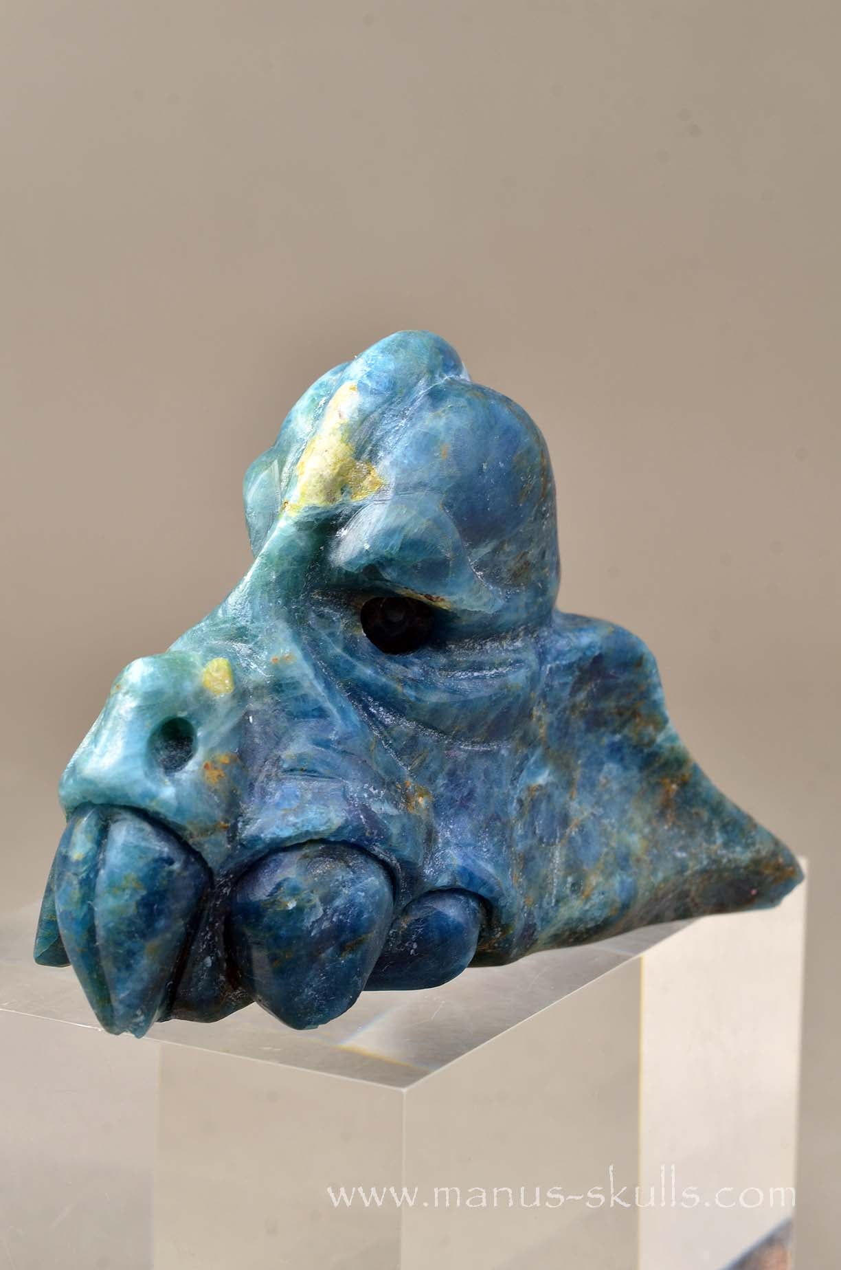 Apatite Manus Dragon