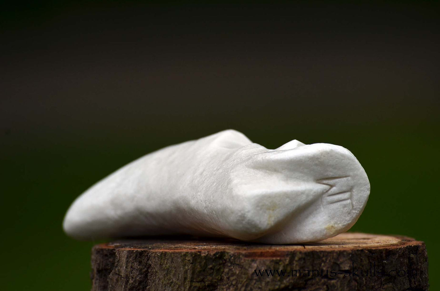 Hairless White Steatite Triskelion Tribal Skull #058