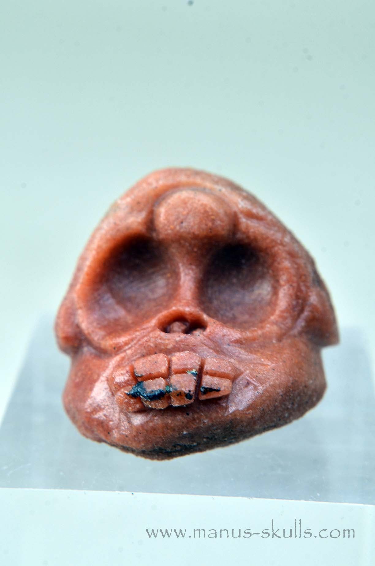 Manus skulls unique Crystal Carvings handmade skulls dragons pendants preseli bluestone tribals spiritual meaning wand Unicorn .. Stromatolite Oncolite Evolian 2025 Ivolian