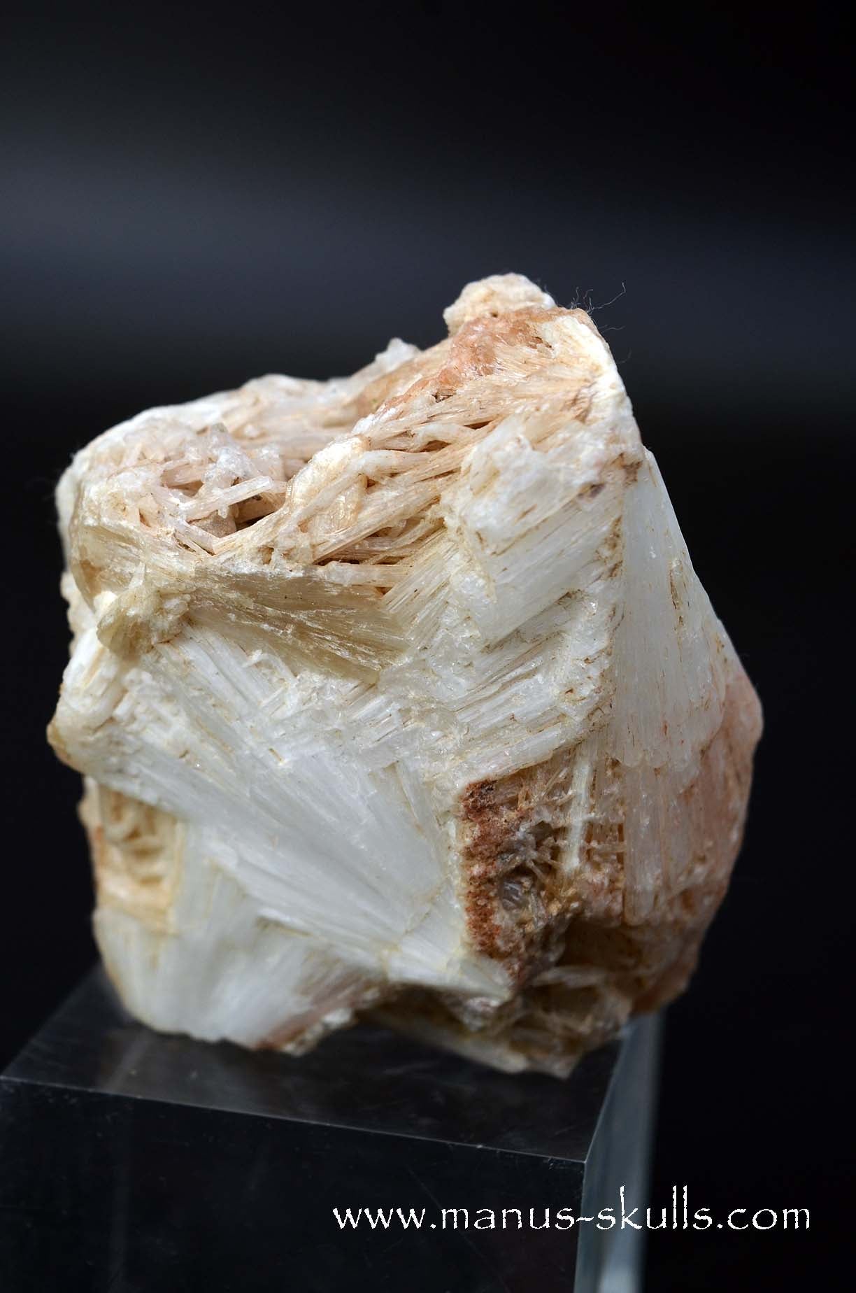 Scolecite Evolian Skull #04