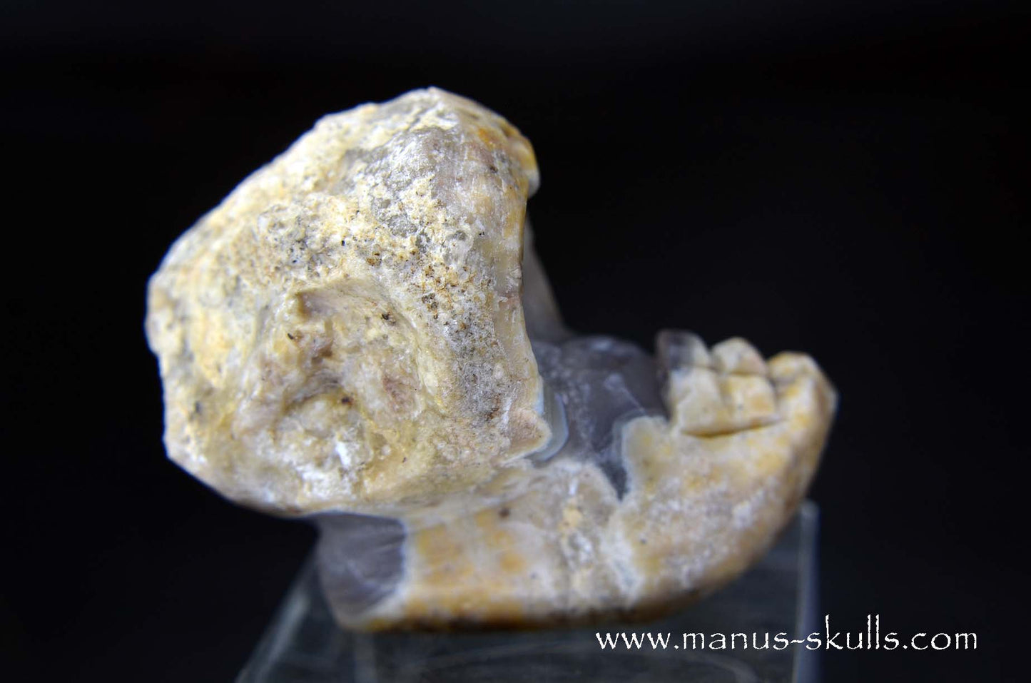 TNT-bed Thunderegg Evolian #04