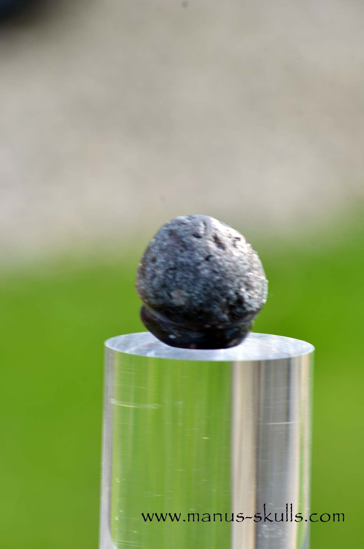 Agni Manitite Evolian #04