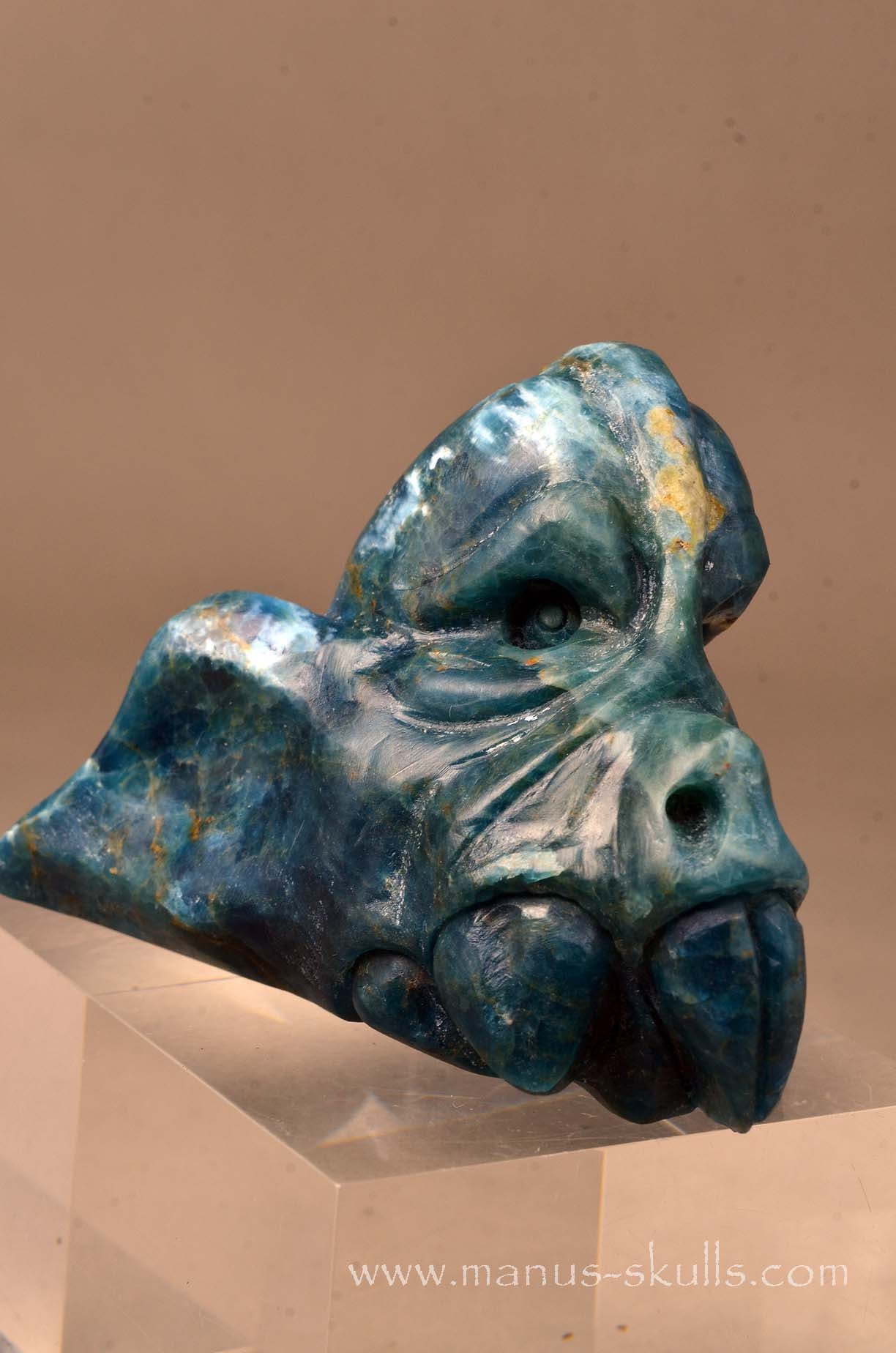 Apatite Manus Dragon
