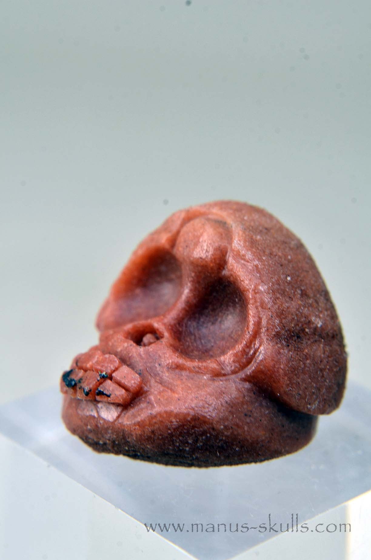 Manus skulls unique Crystal Carvings handmade skulls dragons pendants preseli bluestone tribals spiritual meaning wand Unicorn .. Stromatolite  Oncolite   Evolian 2025  Ivolian