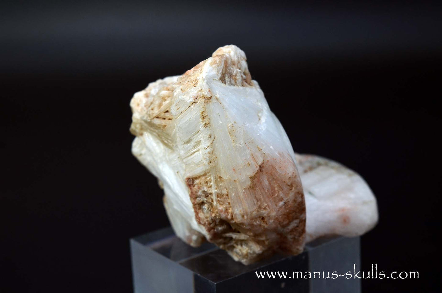 Scolecite Evolian Skull #04