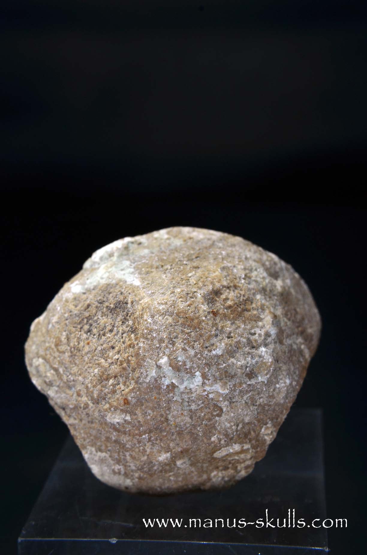 Aragonite Nodul Skull