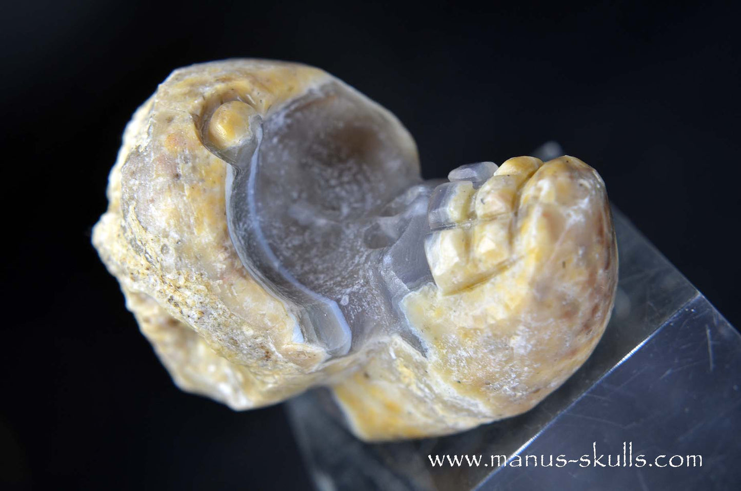 TNT-bed Thunderegg Evolian #04