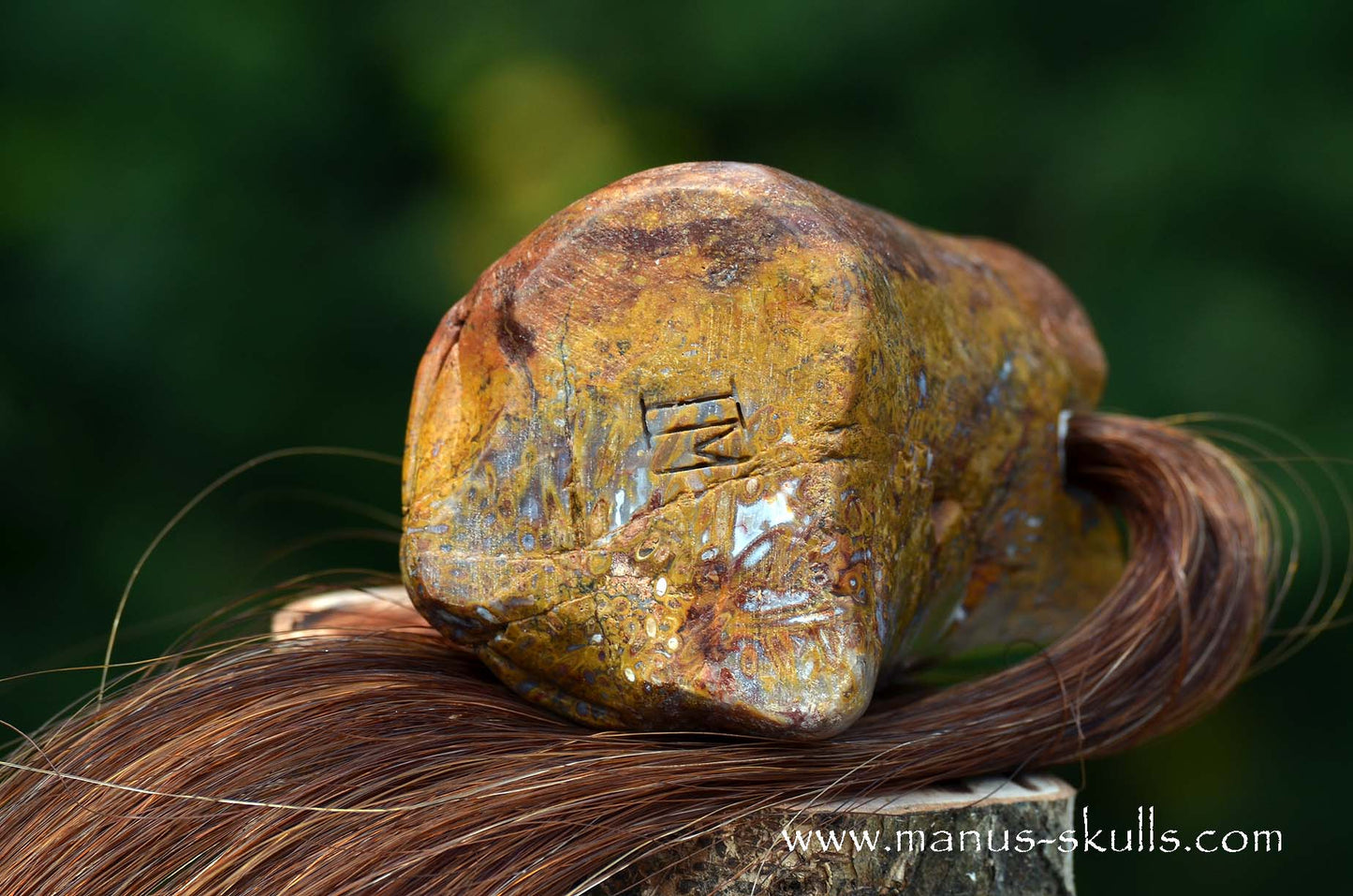 Petrified Palm Wood Tribal Skull #65